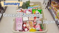 Summary🛒Grocery Shopping Trips in Japan - Autumn to Winter⛄Drugstore MUJI Supermarket 💱with prices