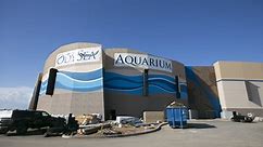 OdySea Aquarium near Scottsdale to open Saturday