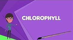 What is Chlorophyll? Explain Chlorophyll, Define Chlorophyll, Meaning of Chlorophyll