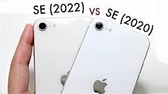 iPhone SE (2022) Vs iPhone SE (2020) Camera Comparison!