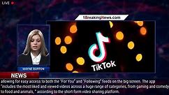 TikTok's TV App Has Launched in North America - 1BREAKINGNEWS.COM