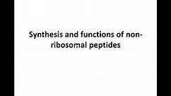 Synthesis and functions of non-ribosomal peptides (NRP)