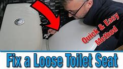 How to Fix a Loose Toilet Seat | Wonky Loo Seat | Bathroom Hacks