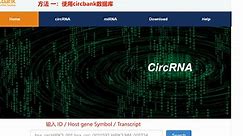 circRNA研究常用技术 之 circRNA 过表达详解