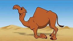 Camel Walk Animation