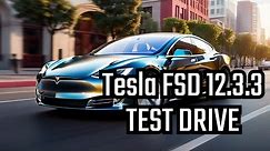 Tesla FSD 12.3.3 Early Test Drive