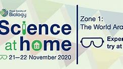 Zone 1: Experiments to Try at Home