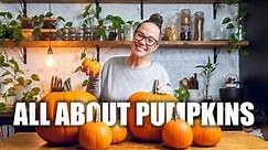 Oh My Gourd! Everything to Know About Pumpkins | How to Plant Based Ep 4