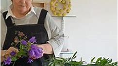 Campanula... - Maddocks - Floristry & Giftware Cash & Carry / Wholesaler