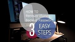Recover the Forgotten iTunes Backup Password on Mac