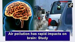 Air pollution has rapid impacts on brain: Study