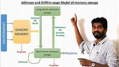 Atkinson and Shiffrin's stage model of Memory