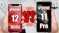 iPhone 12 mini vs iPhone 11 Pro