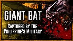 Photo of Giant 6ft Bat Captured in the Philippines Goes Viral