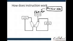 Module 02-Lecture 01 Working Register and Simple Instruction