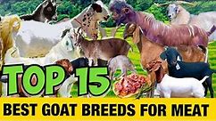 15 BEST GOAT BREEDS FOR MEAT!