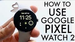 How To Use Google Pixel Watch 2! (Complete Beginners Guide)