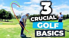 3 Beginner Golf Basics EVERY Golfer Needs To Understand! Plus...We Need Your Help!🙌🏌🏻‍♂️⛳️