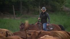 New breed of cattle rancher