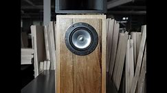 Build an audiophile horn speaker for far less