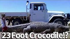Largest Crocodiles In The World
