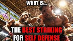 Which striking Martial Art is best for Self Defense?!!! - Tier List with special guest DantheWolfman