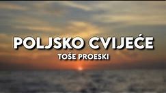 Toše Proeski ~ Poljsko Cvijeće [Lyrics Video]