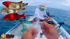 HOW TO FISH SALTWATER IN HAWAII - Bottom Fishing Near Shore - Hawaii Fishing - Catch and Cook