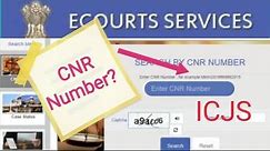 HOW TO FIND CNR NUMBER ? WHAT IS CNR NUMBER IN COURT ? ICJS, POLICE, PROSECUTION, COURT, FORENSICS !
