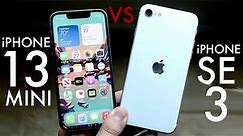 iPhone SE 3 Vs iPhone 13 Mini! (Quick Comparison)