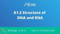 A1.2 Structure of DNA and RNA [IB Biology SL/HL]