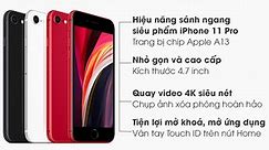 iPhone SE 64GB (2020) (Hộp mới) - Chính hãng, giá tốt, có trả góp