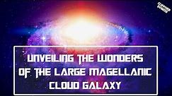 Unveiling the Wonders of the Large Magellanic Cloud Galaxy: Discoveries and Insights