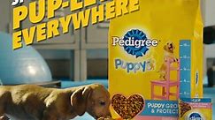 Pedigree US - Hold onto your hats, here come the weenies....