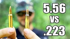 Is .223 or 5.56 Better?