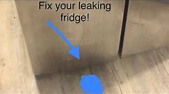 How to Fix a Leaking Fridge.
