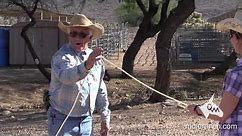 Lead Rope — Leading Your Mule with The Come-A-Long Rope