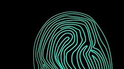 Conceptual animation of a fingerprint scanner. Line art video motion. Dactylogram