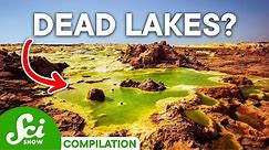 The 5 Wildest Lakes on Earth | Compilation