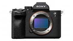 Buy the Sony A7 IV Compact System Camera - Camera House