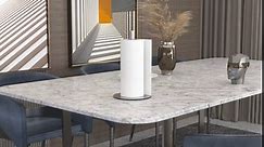 Silver Paper Towel Holder Free-Standing , Premium Stainless Steel Paper Organizer, Classic Fashion Kitchen Roll Dispenser