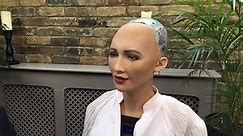 BBC Earth - Sophia the humanoid robot "interviews" Michael...