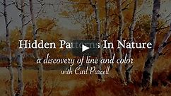 Hidden Patterns In Nature - instructional course
