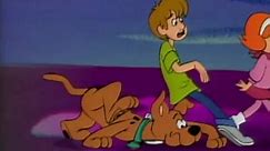 A Pup Named Scooby Doo The Complete Series