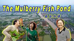 The Mulberry Fish Pond｜桑基鱼塘｜Zhejiang Huzhou｜China Intangible Cultural Heritage｜China Wisdom