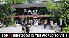 Top 10 Best Zoos in the World to Visit - Most Amazing Zoos Of All Time 2022