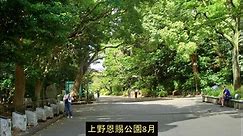 第217回『NHKが「毒ガス」問題で国際武漢コロナ賠償裁判参加を阻止する謀略を開始した』【水間条項TV】会員動画