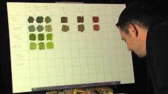Painting Tips and Tricks, Creating A Color Mixing Chart For Landscape Greens by Tim Gagnon