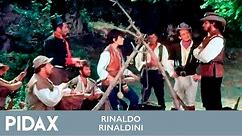 Pidax - Rinaldo Rinaldini (1968, TV-Serie)