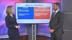 What you need to know about the difference between a hard freeze and a freeze